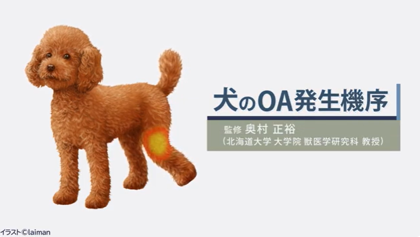 ガリプラント錠 | エランコジャパン株式会社 獣医師専用サイト